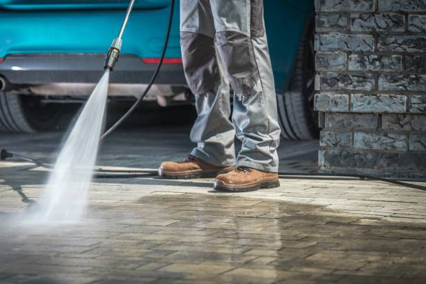 Best Pre-Holiday Cleaning  in Geneva, FL
